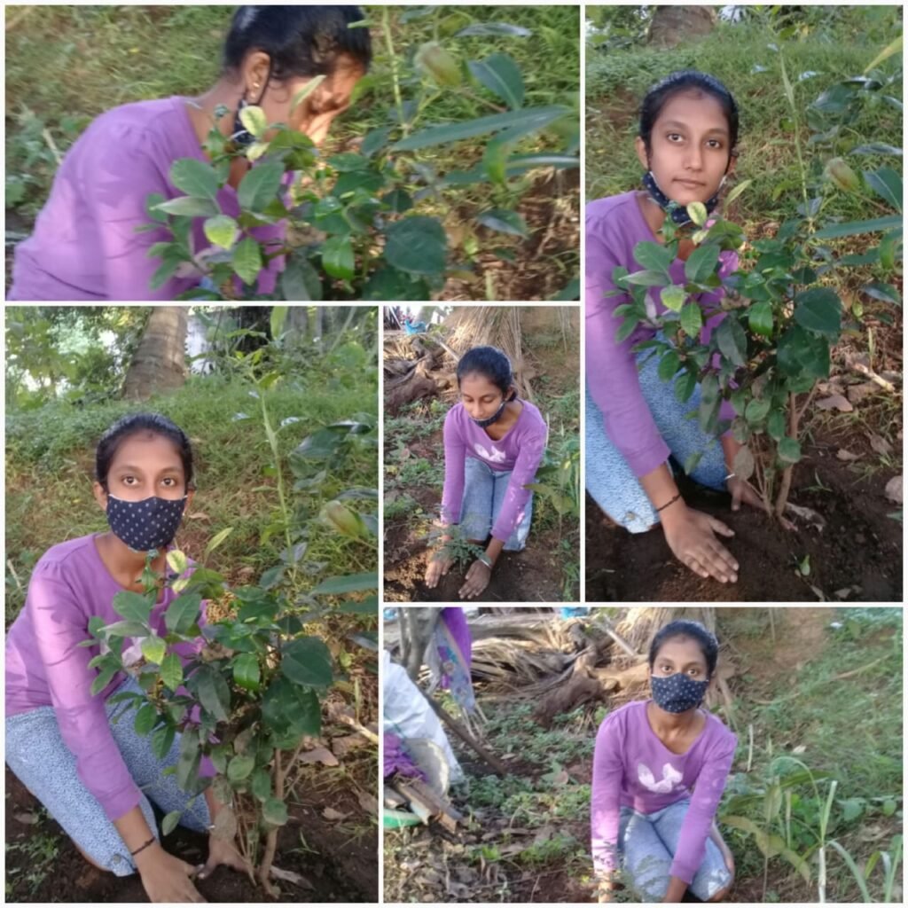 World Environment Day